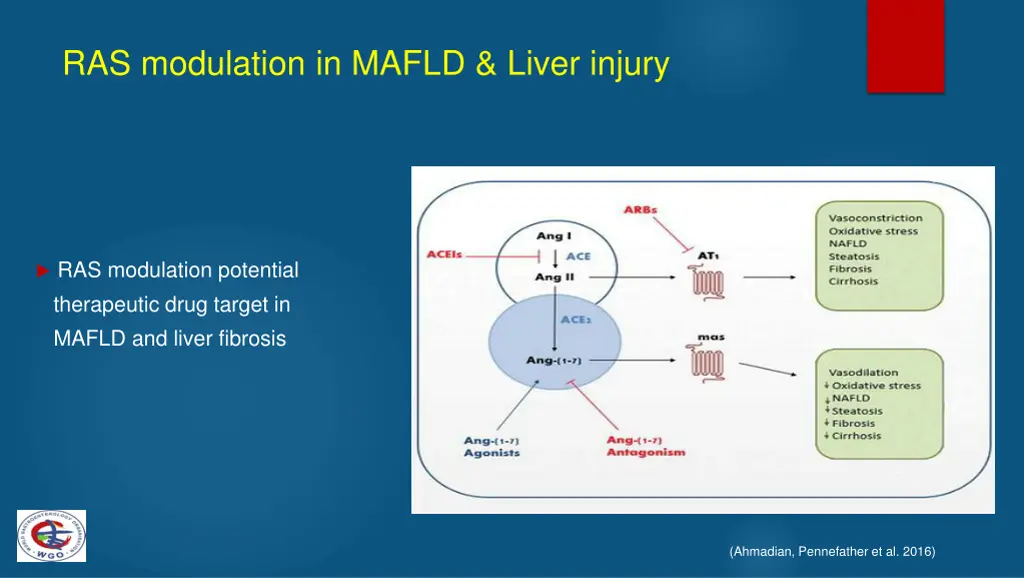 ras modulation in mafld liver injury