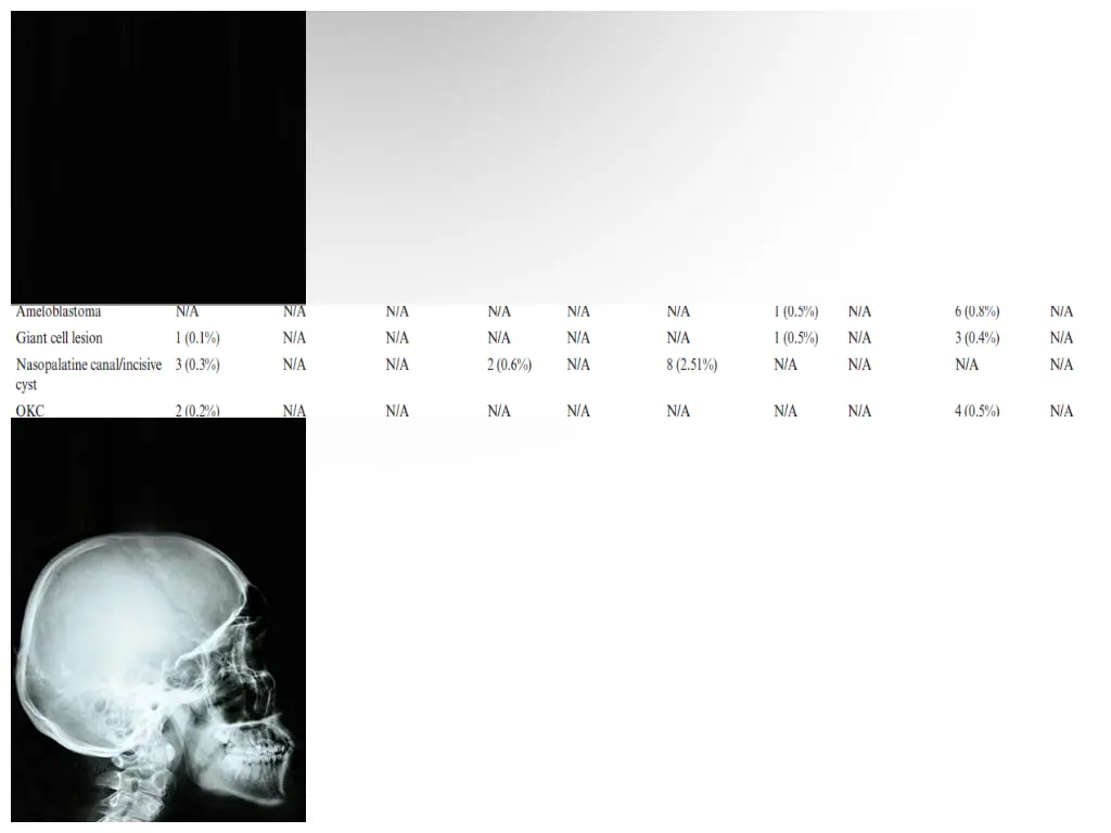slide15