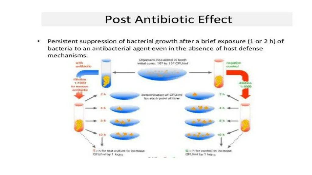 slide18