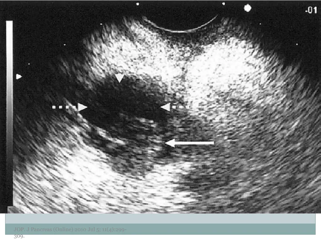 examples of morphology