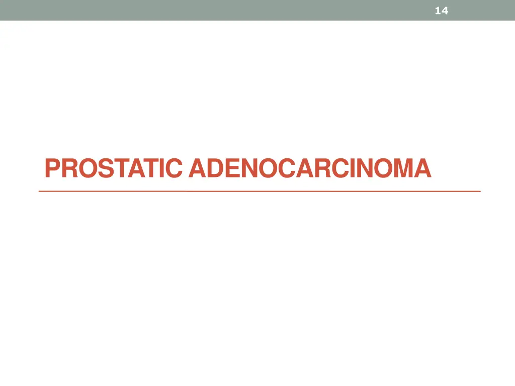 slide14