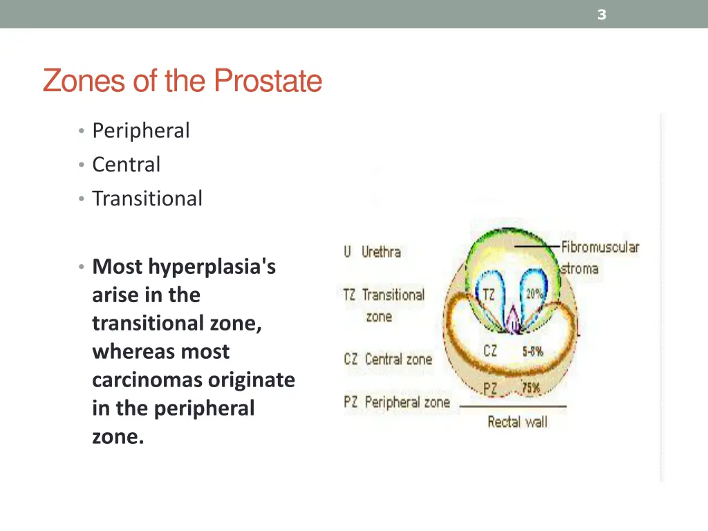 slide3