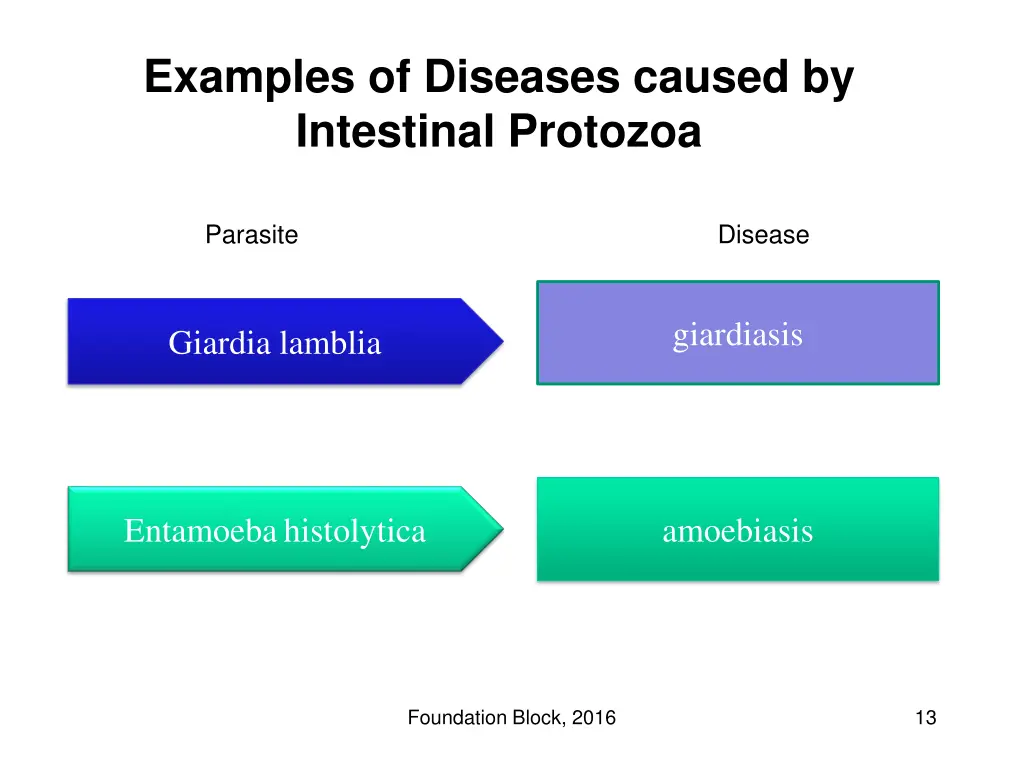 examples of diseases caused by intestinal protozoa