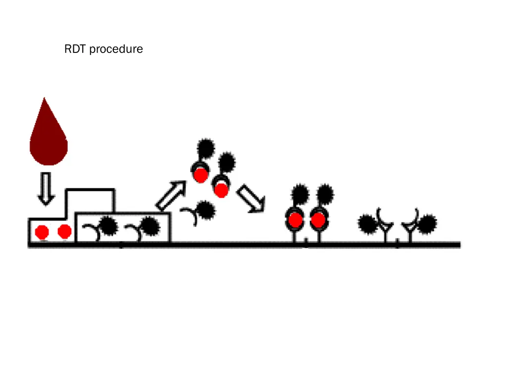 rdt procedure