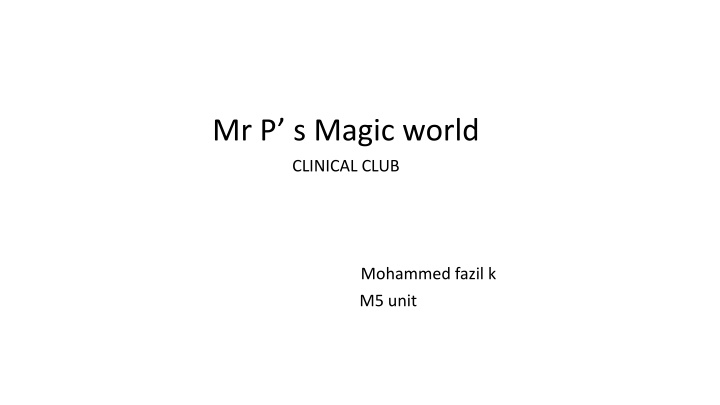 mr p s magic world