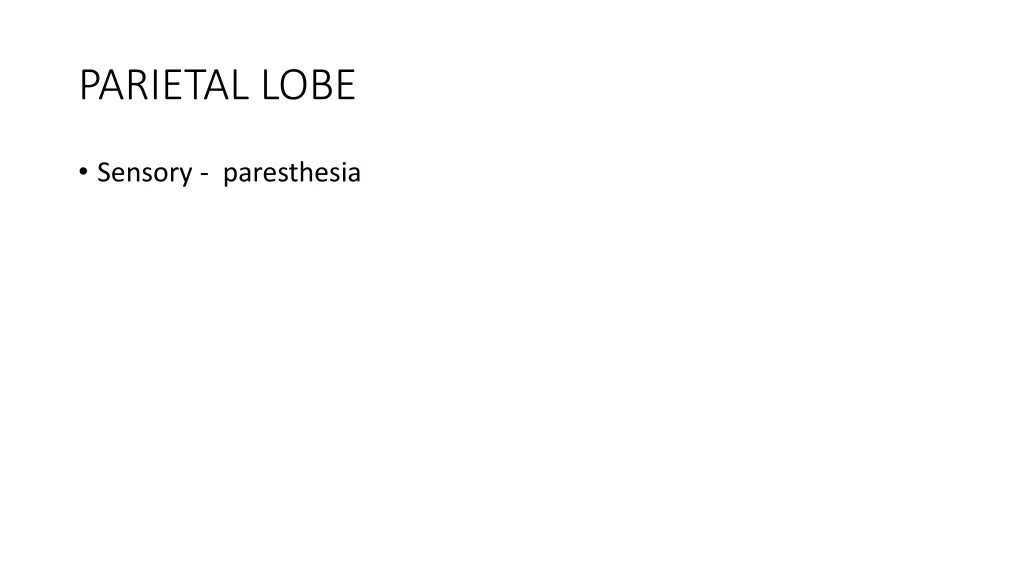 parietal lobe