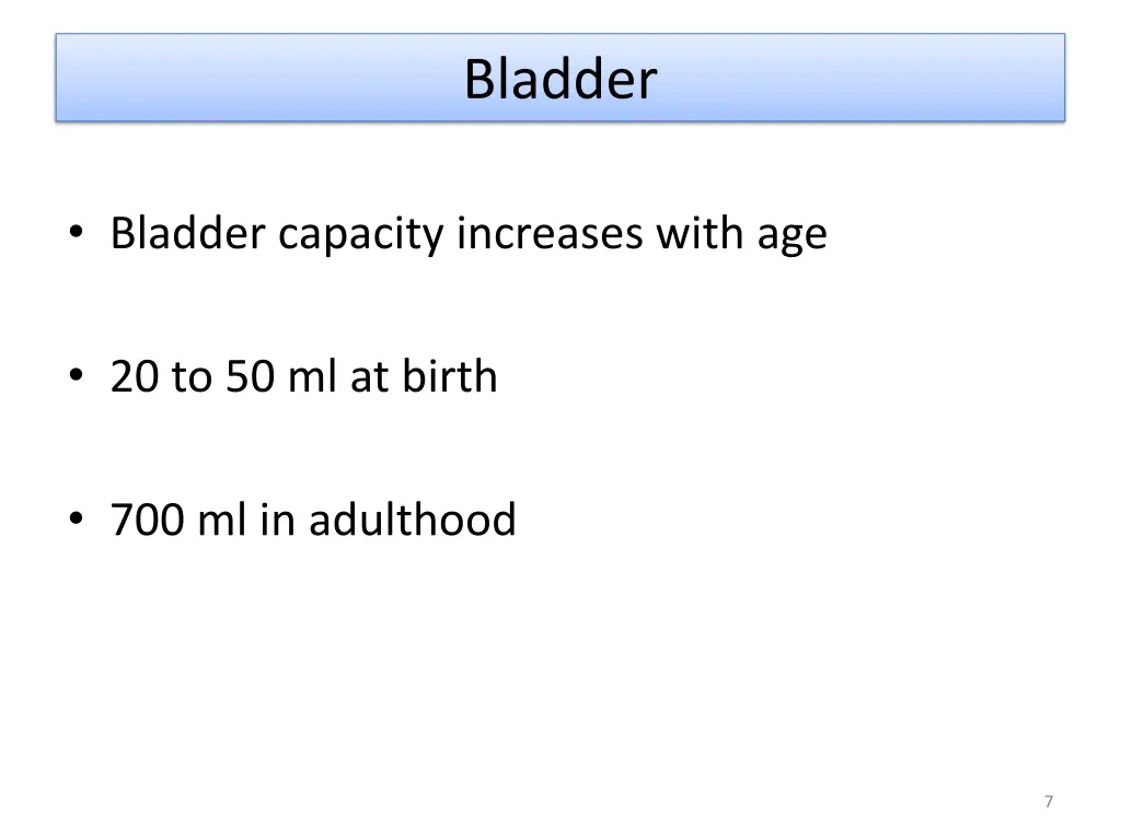 bladder