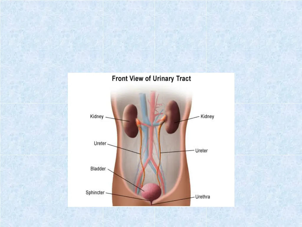 slide3