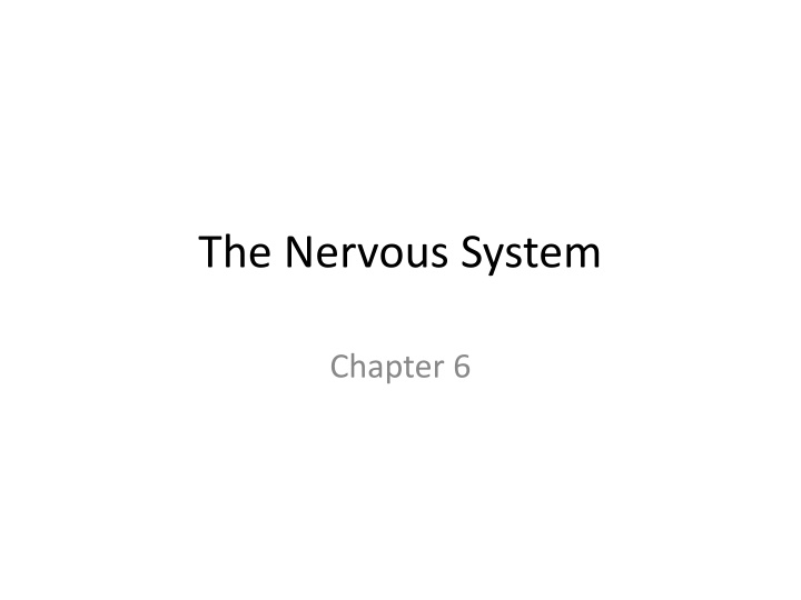 the nervous system