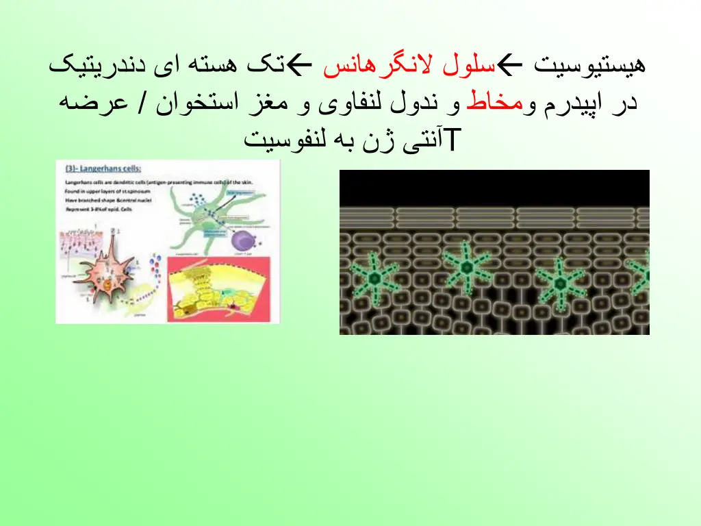 slide3