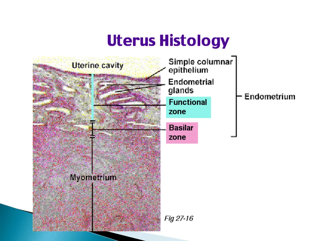 slide10
