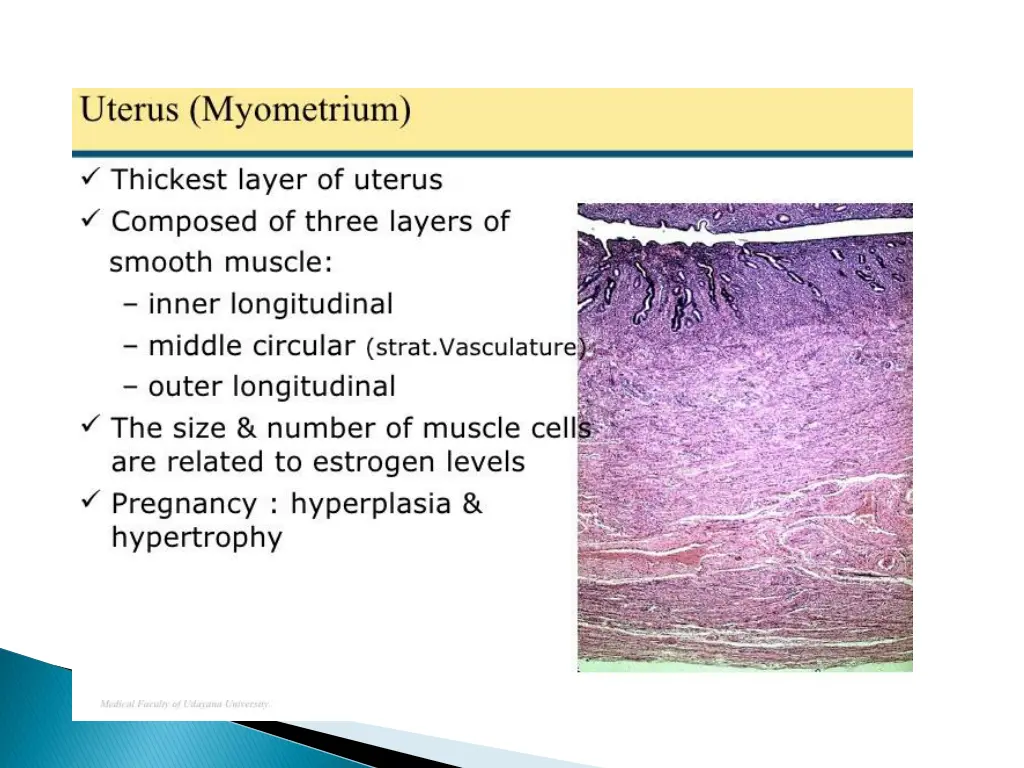 slide11