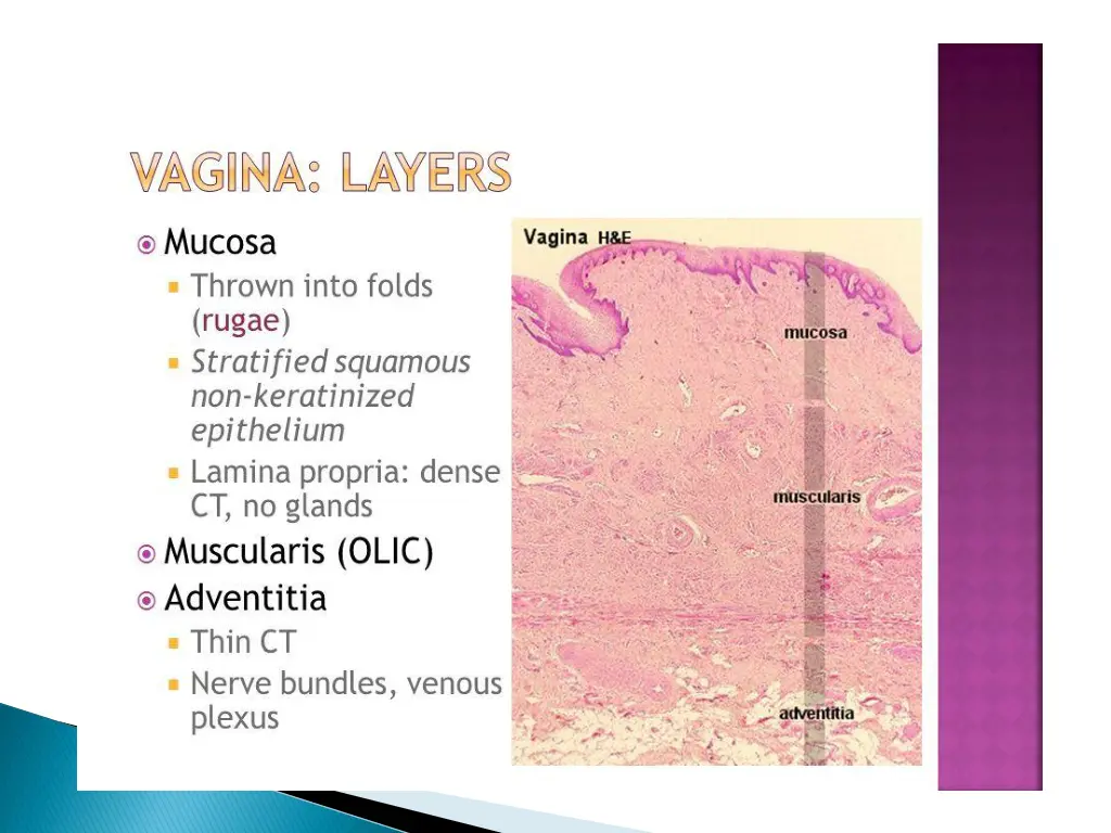 slide16