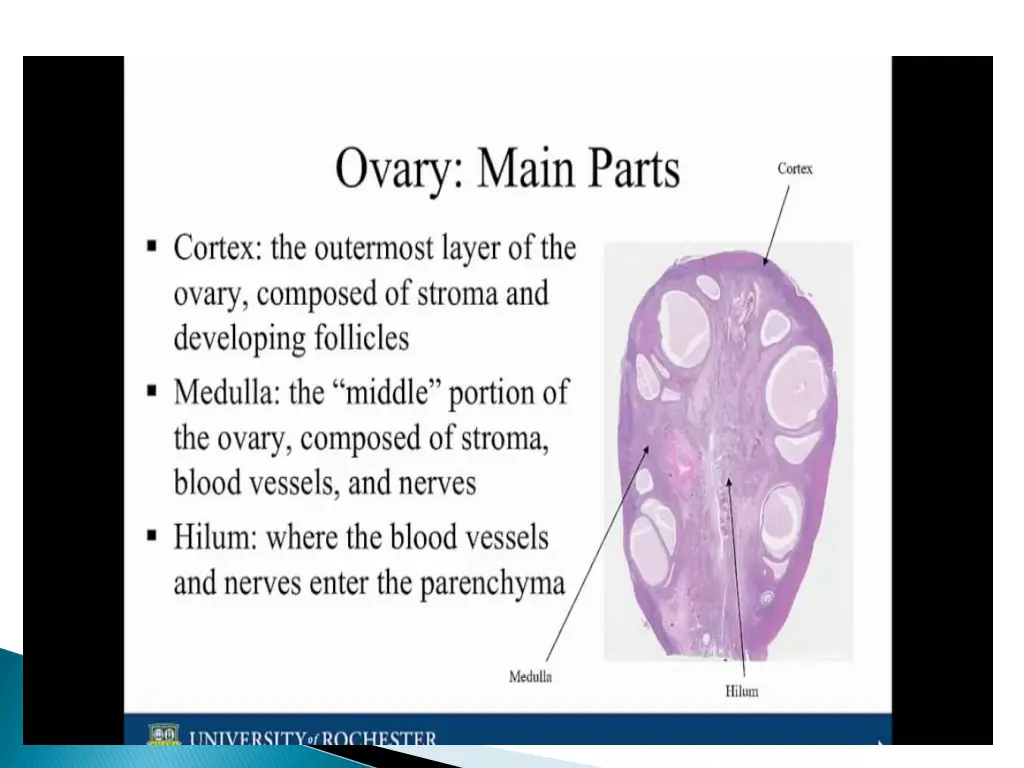 slide5