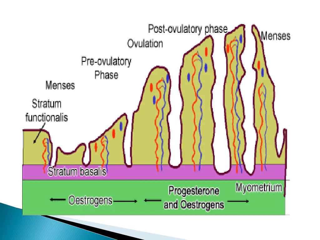 slide8