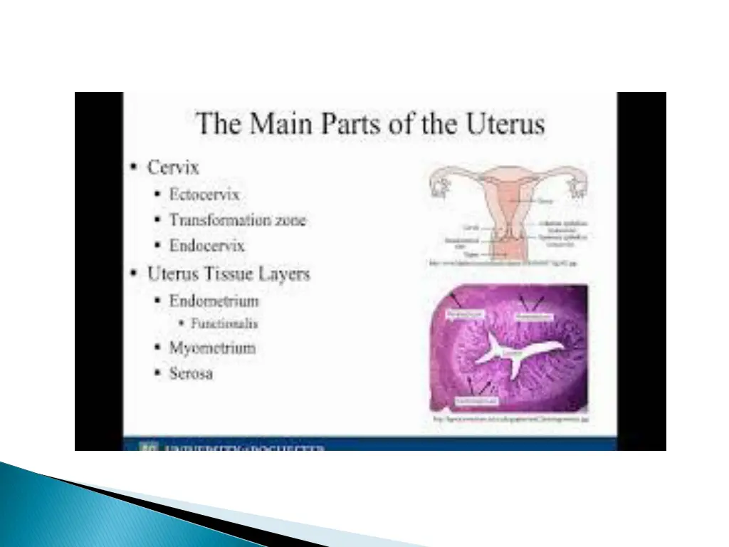 slide9