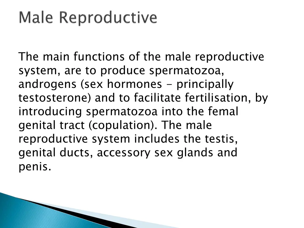 the main functions of the male reproductive