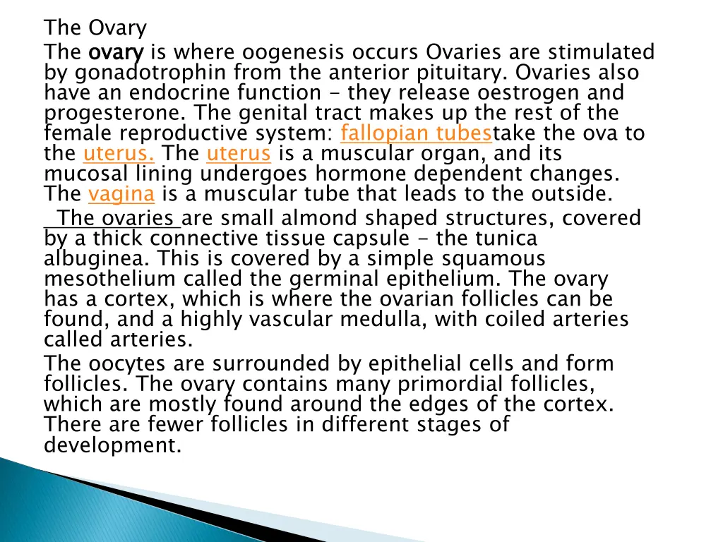 the ovary the ovary by gonadotrophin from