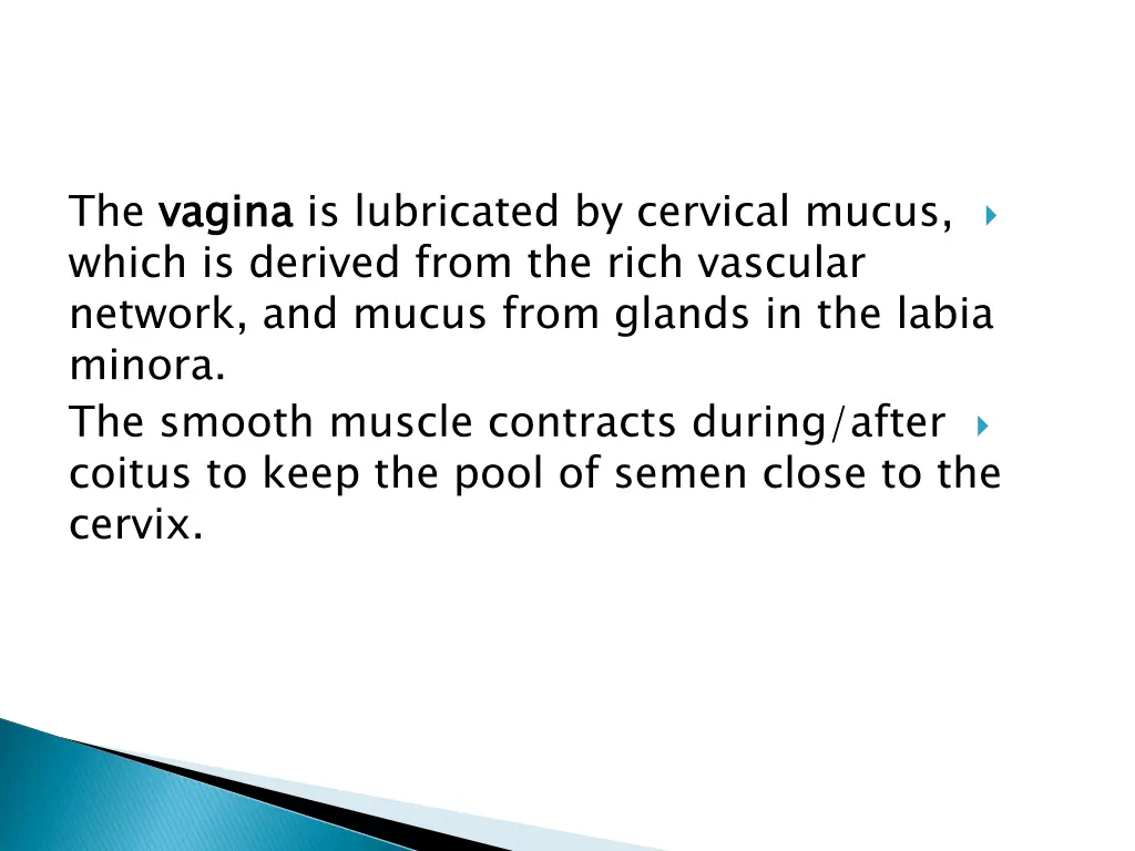 the vagina which is derived from the rich