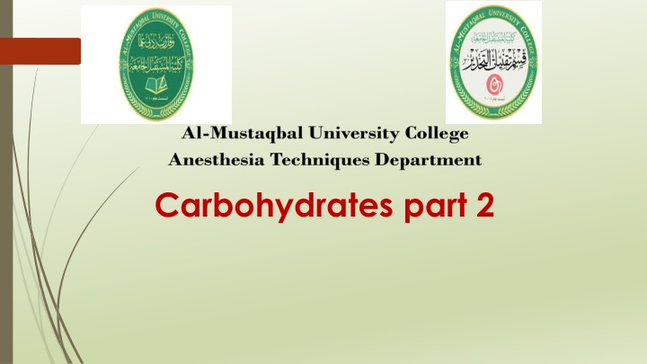 carbohydrates part 2