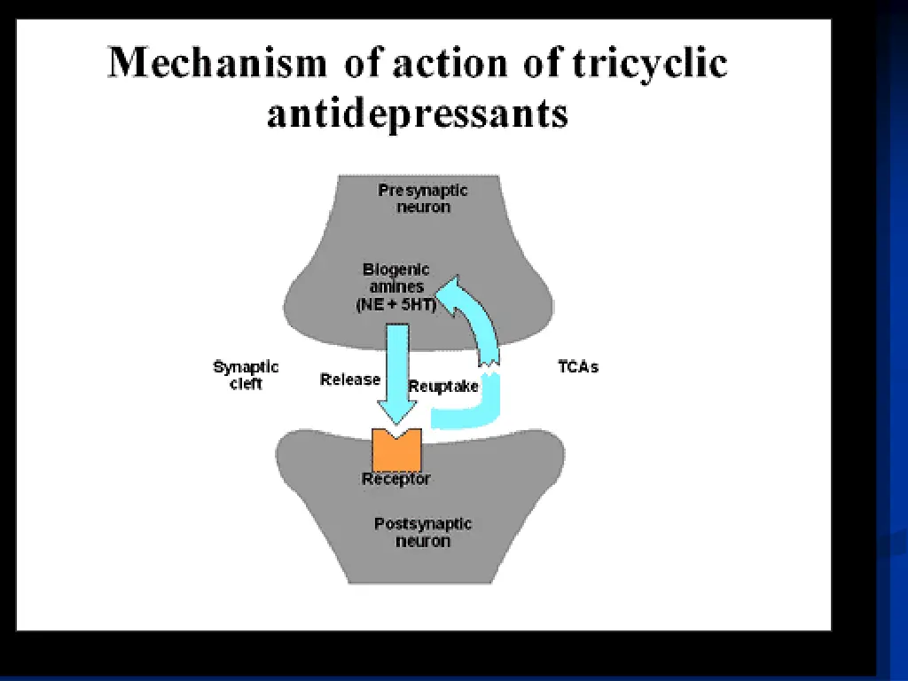 slide18