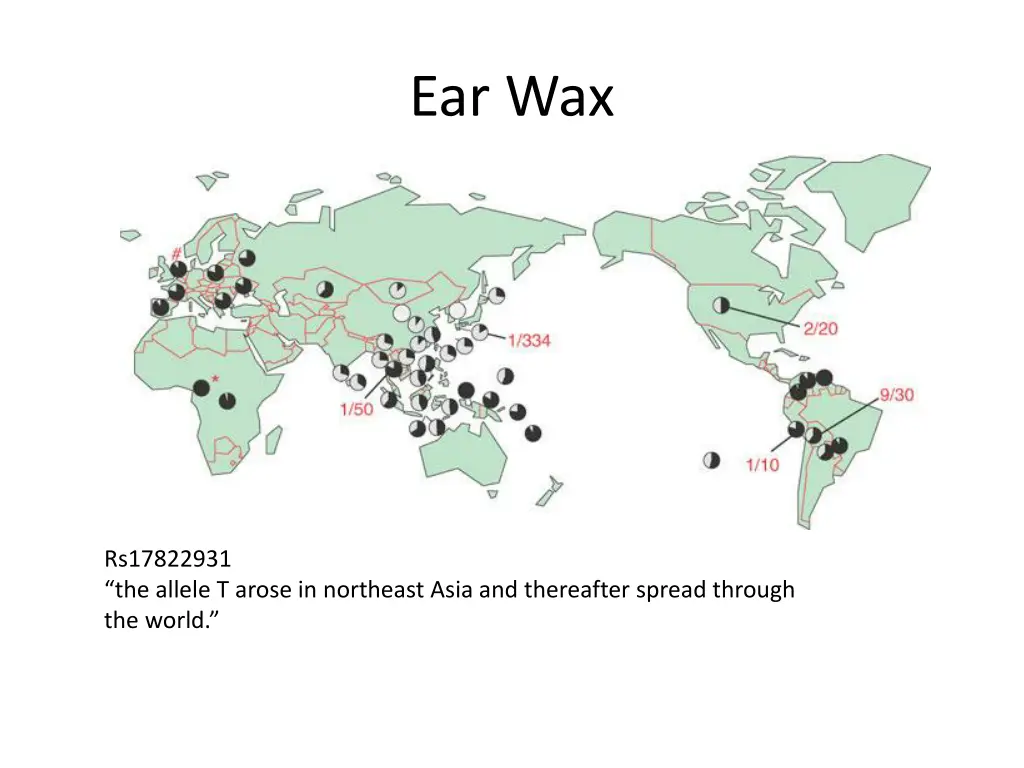 ear wax 1