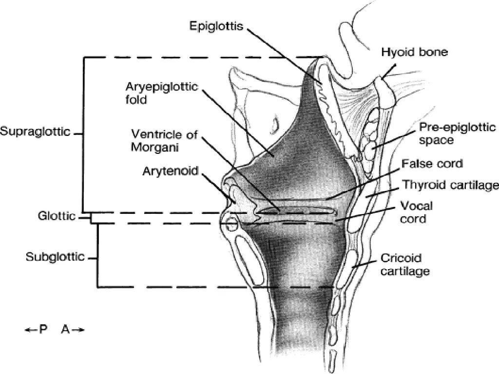 slide2