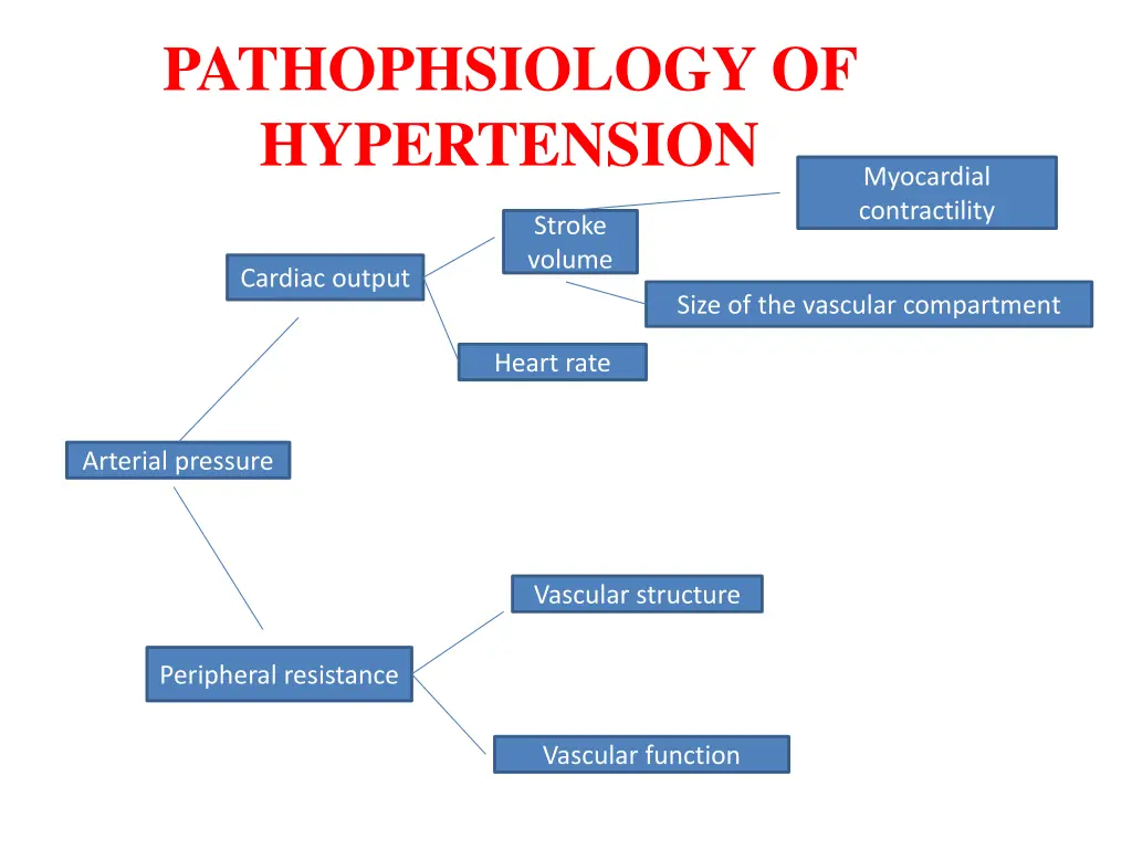 pathophsiology of hypertension