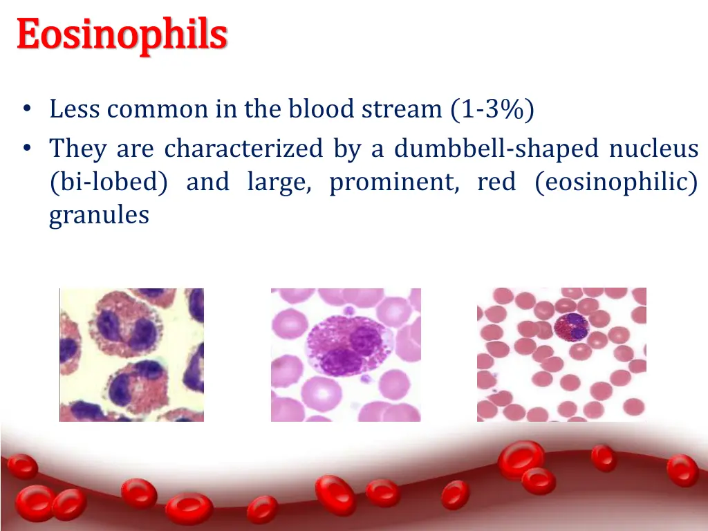 eosinophils eosinophils
