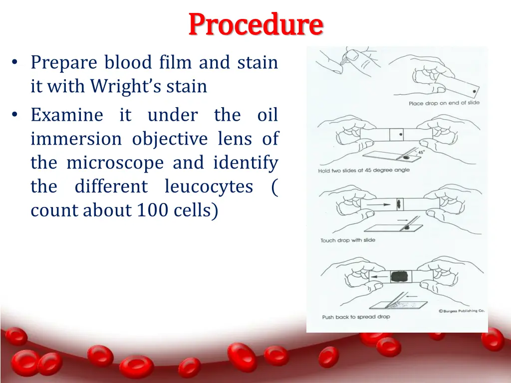 p procedure rocedure