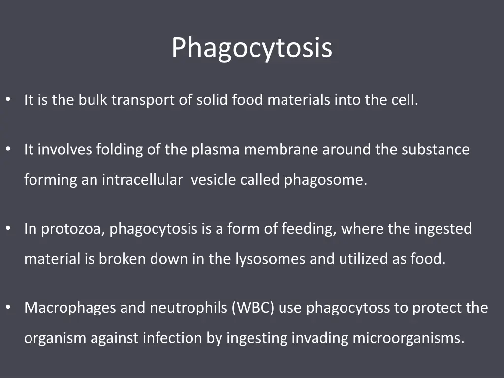 phagocytosis