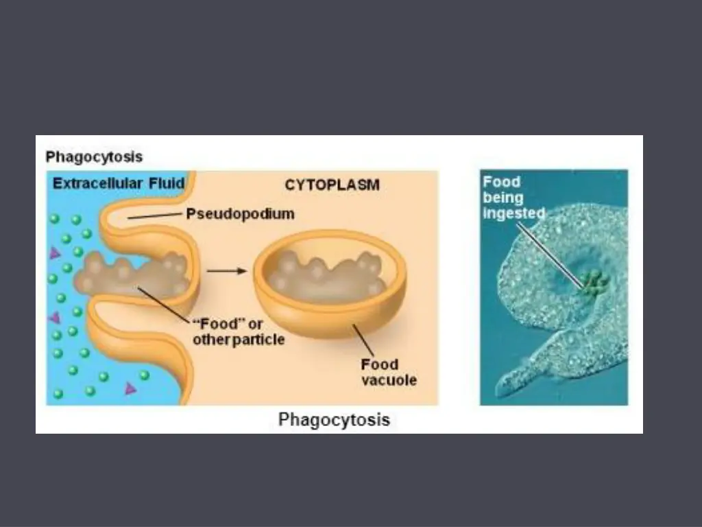 slide8