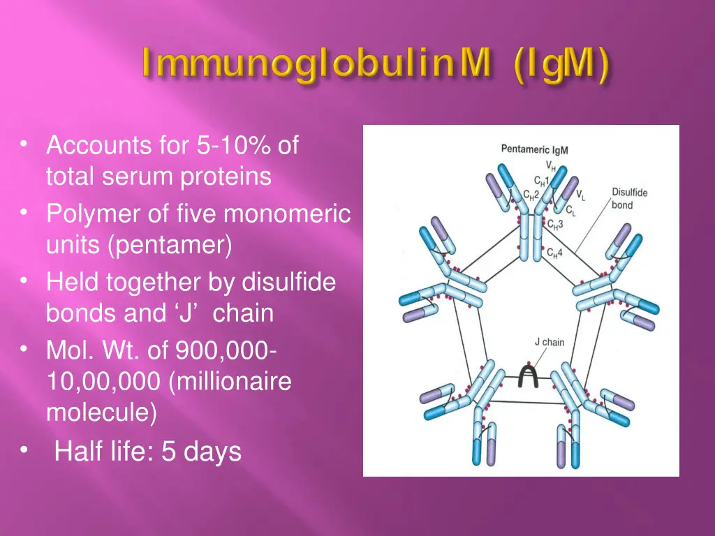 accounts for 5 10 of total serum proteins polymer