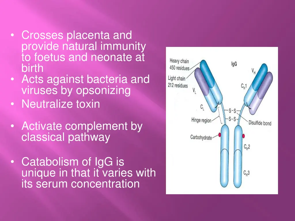 crosses placenta and provide natural immunity
