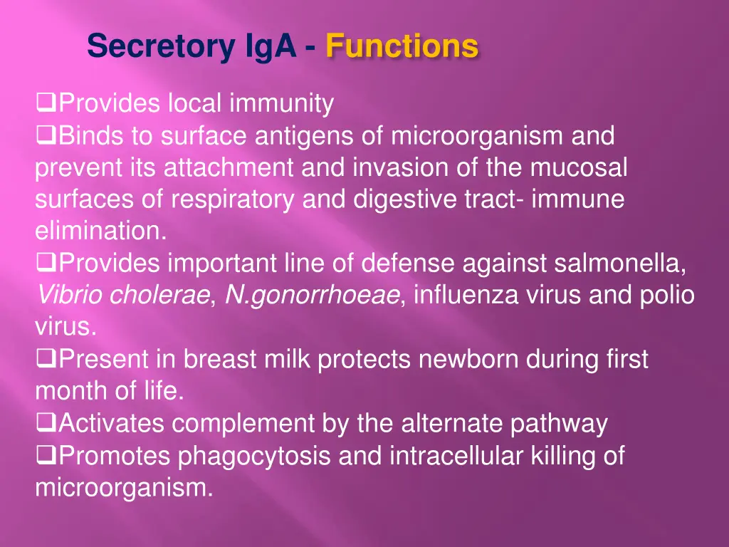 secretory iga functions