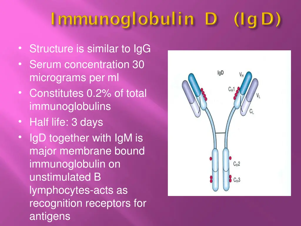 slide24