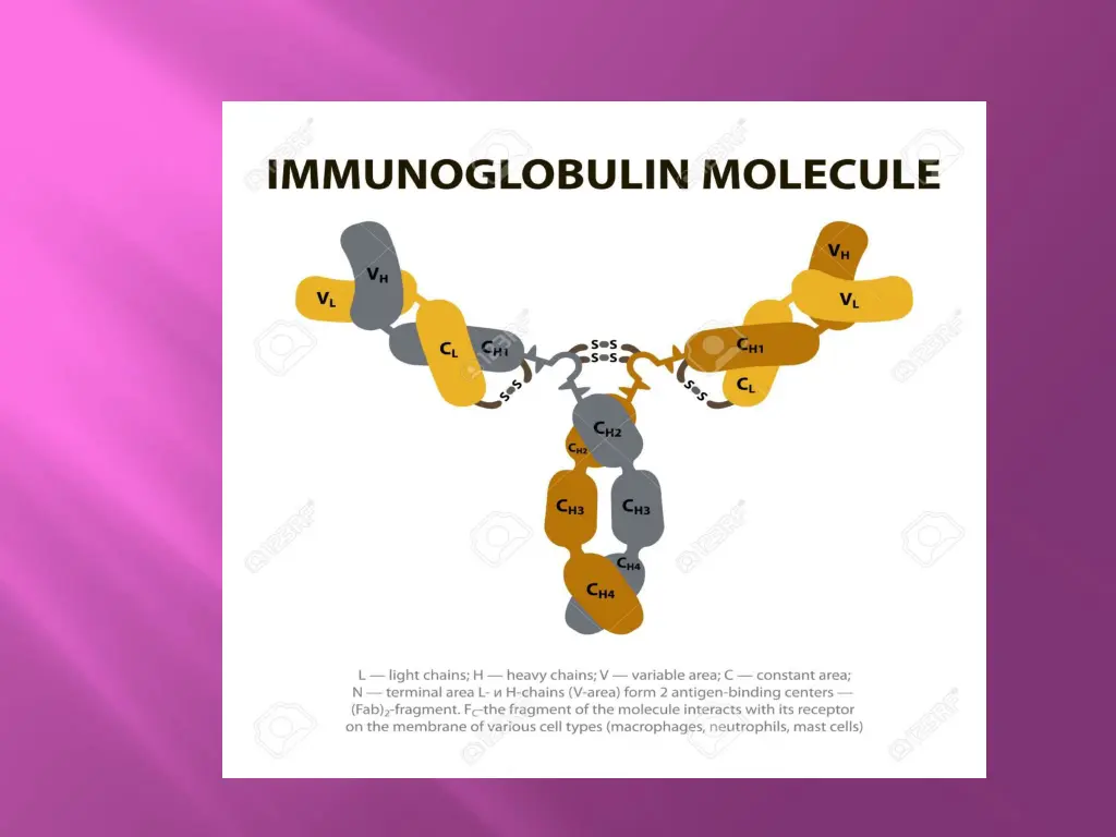slide3