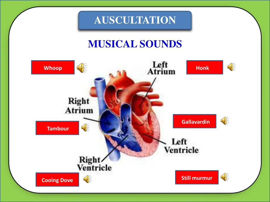 auscultation