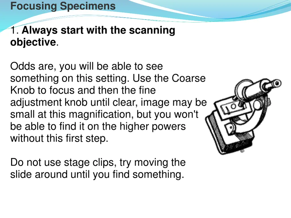 focusing specimens
