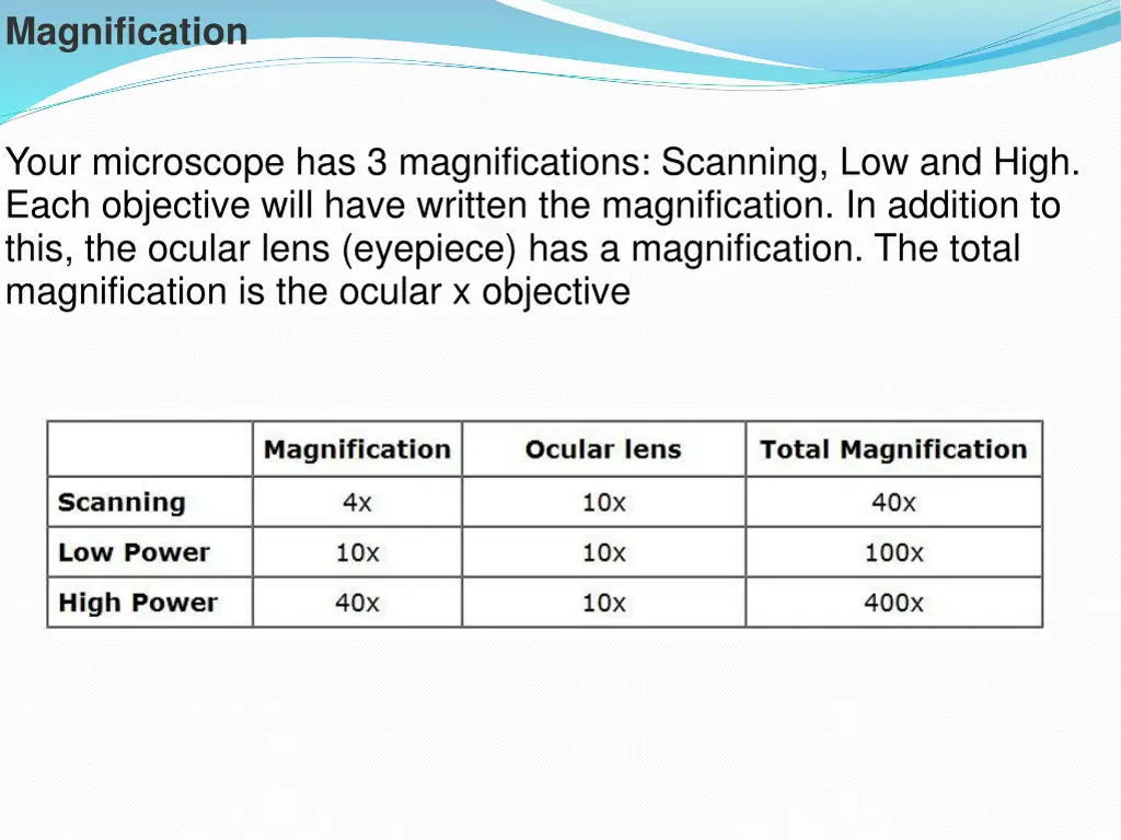 magnification
