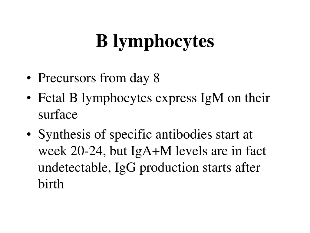 b lymphocytes
