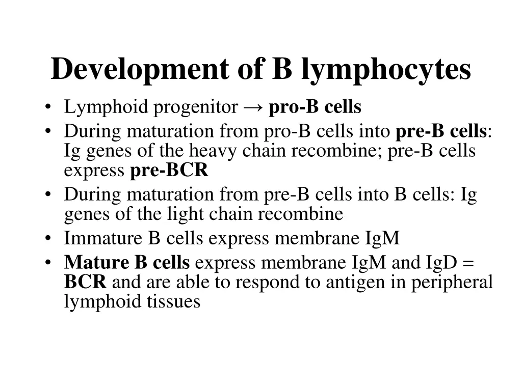 development of b lymphocytes lymphoid progenitor