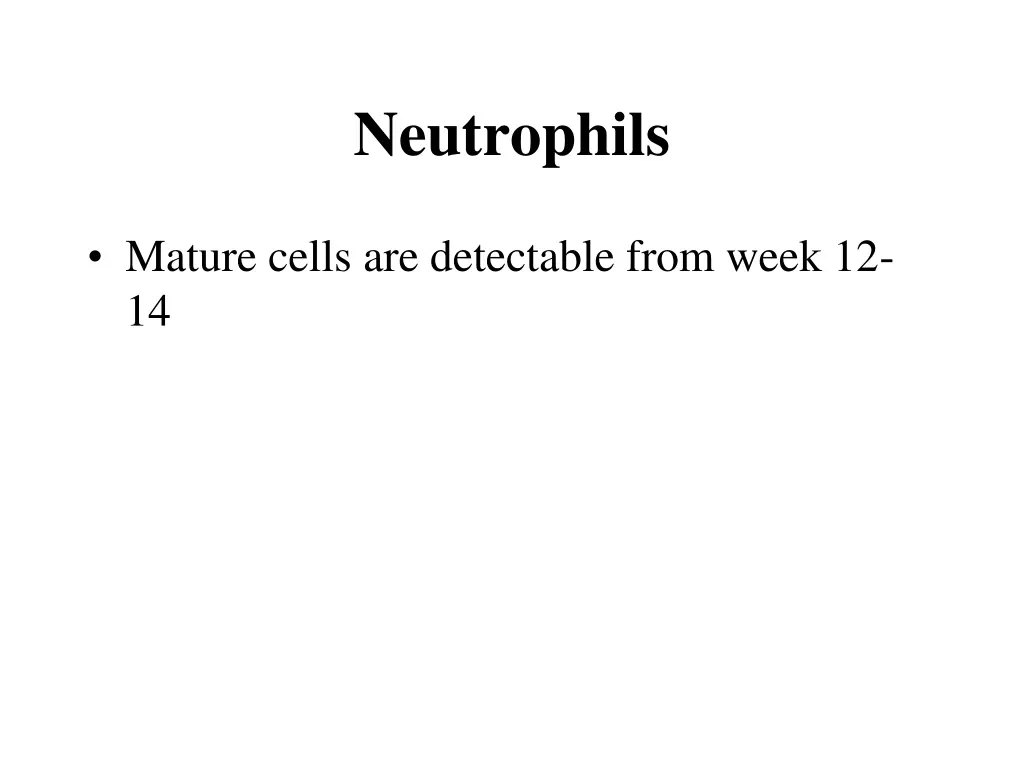 neutrophils