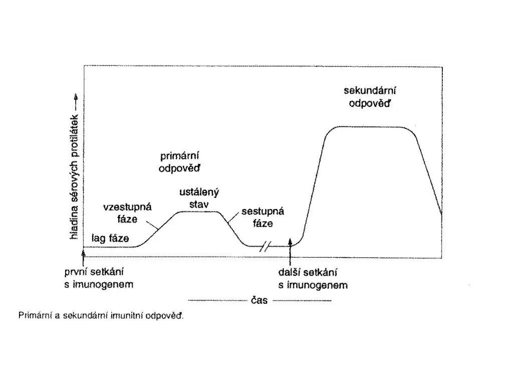slide31