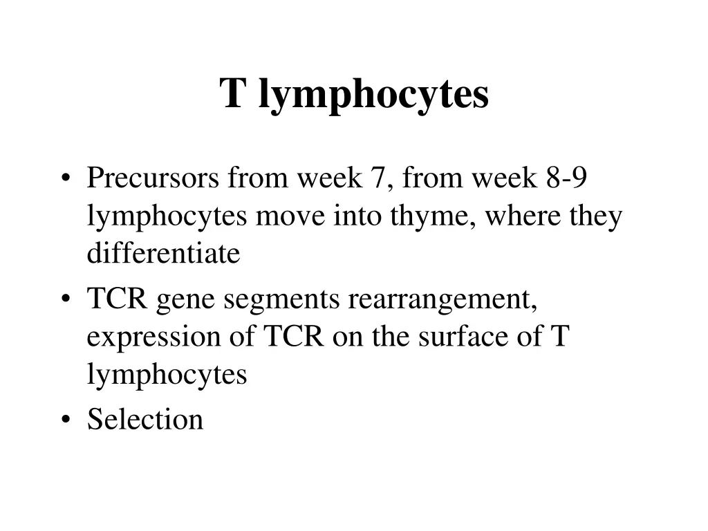 t lymphocytes