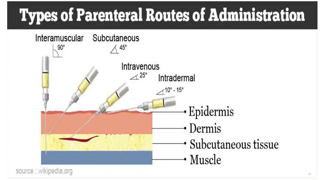 slide20