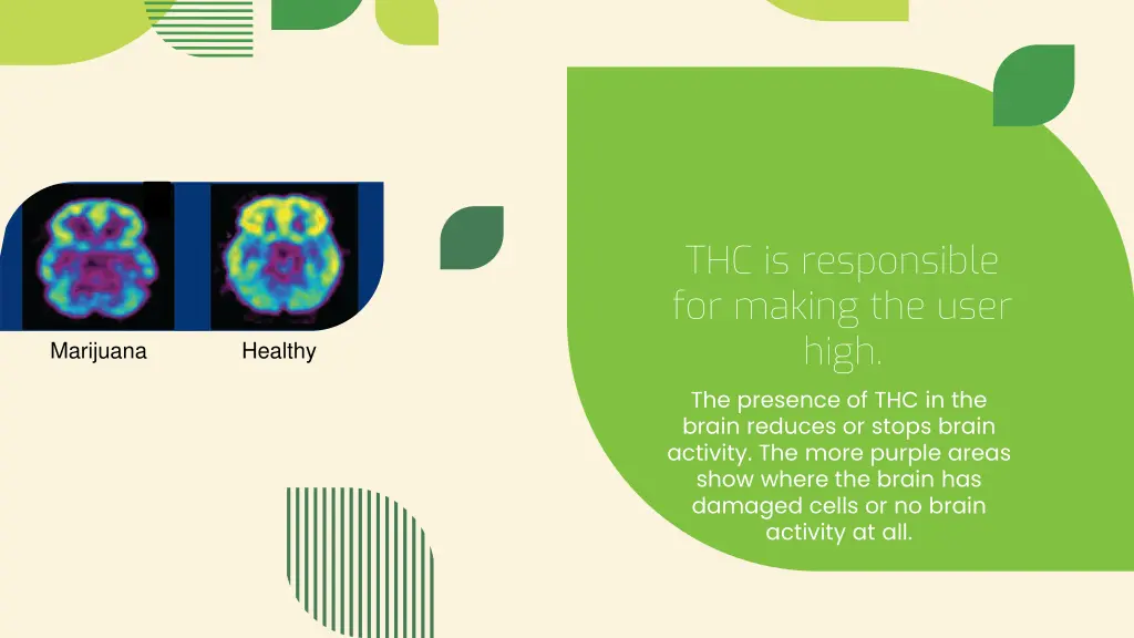 thc is responsible for making the user high