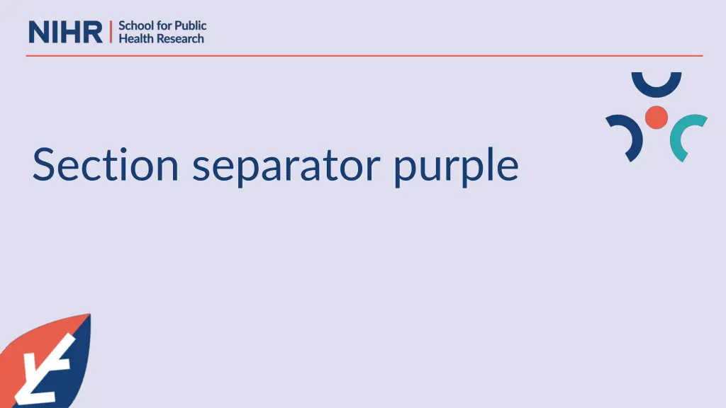 section separator purple