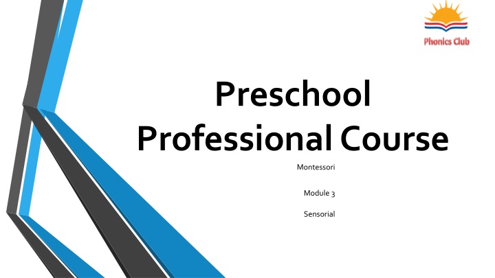 preschool professional course