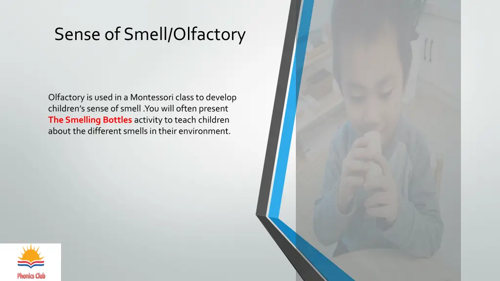 sense of smell olfactory